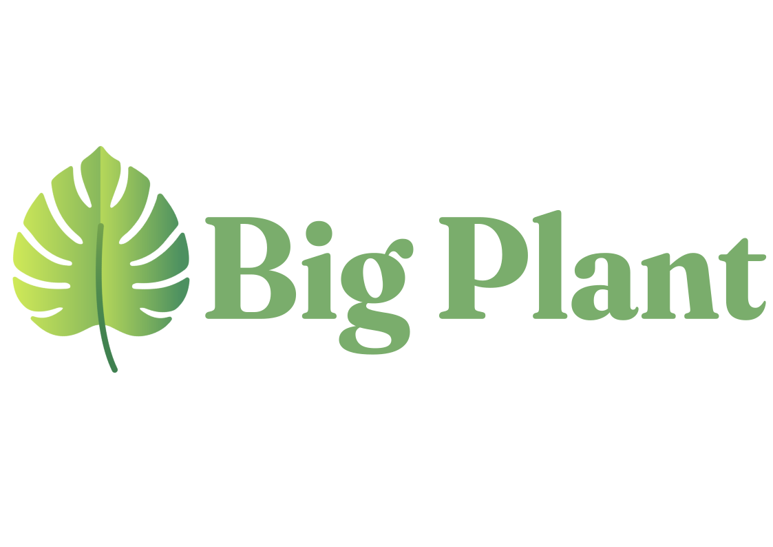 Big Plant